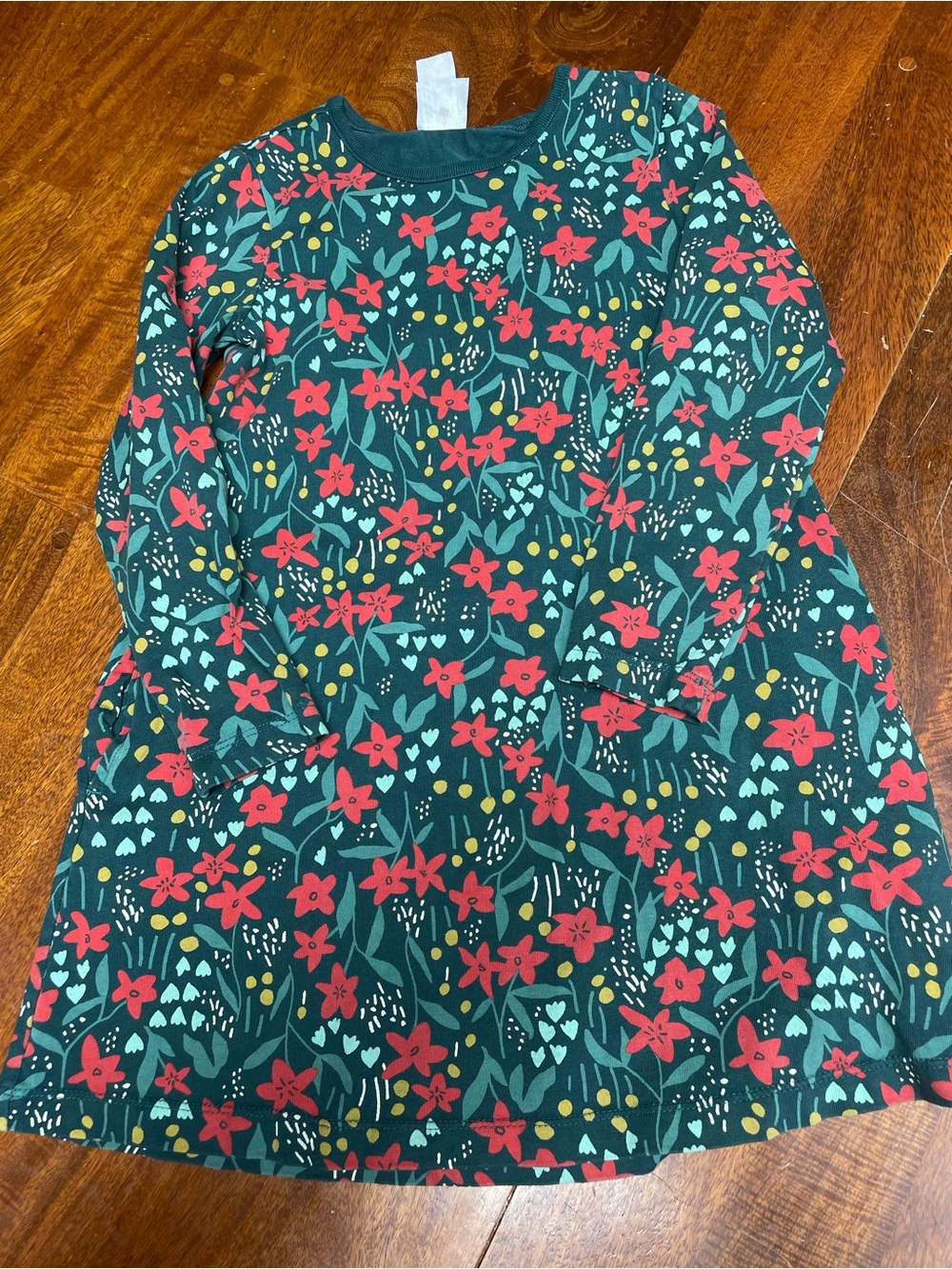 Hanna andersson floral long sleeve green and red dress size 5